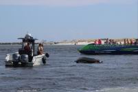 2018 ECPR Friday  (28).jpg